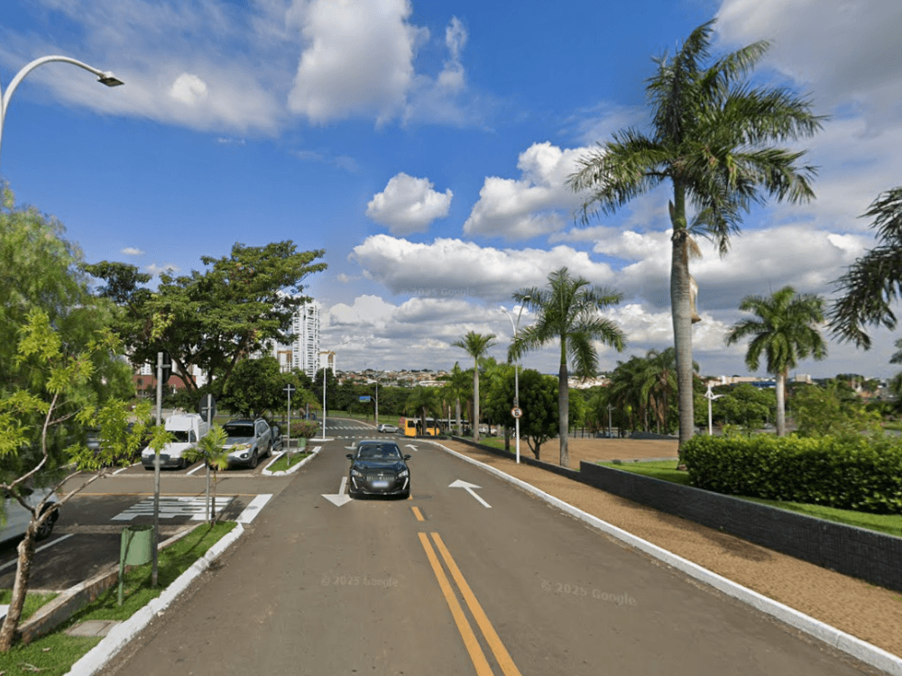 Avenida arborizada com palmeiras, pista de circulação, áreas verdes e sinalização, retratando um cenário residencial de Indaiatuba.