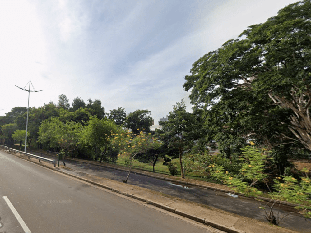 Parque arborizado às margens de uma avenida com árvores de grande porte e calçada para circulação de pedestres em Indaiatuba.